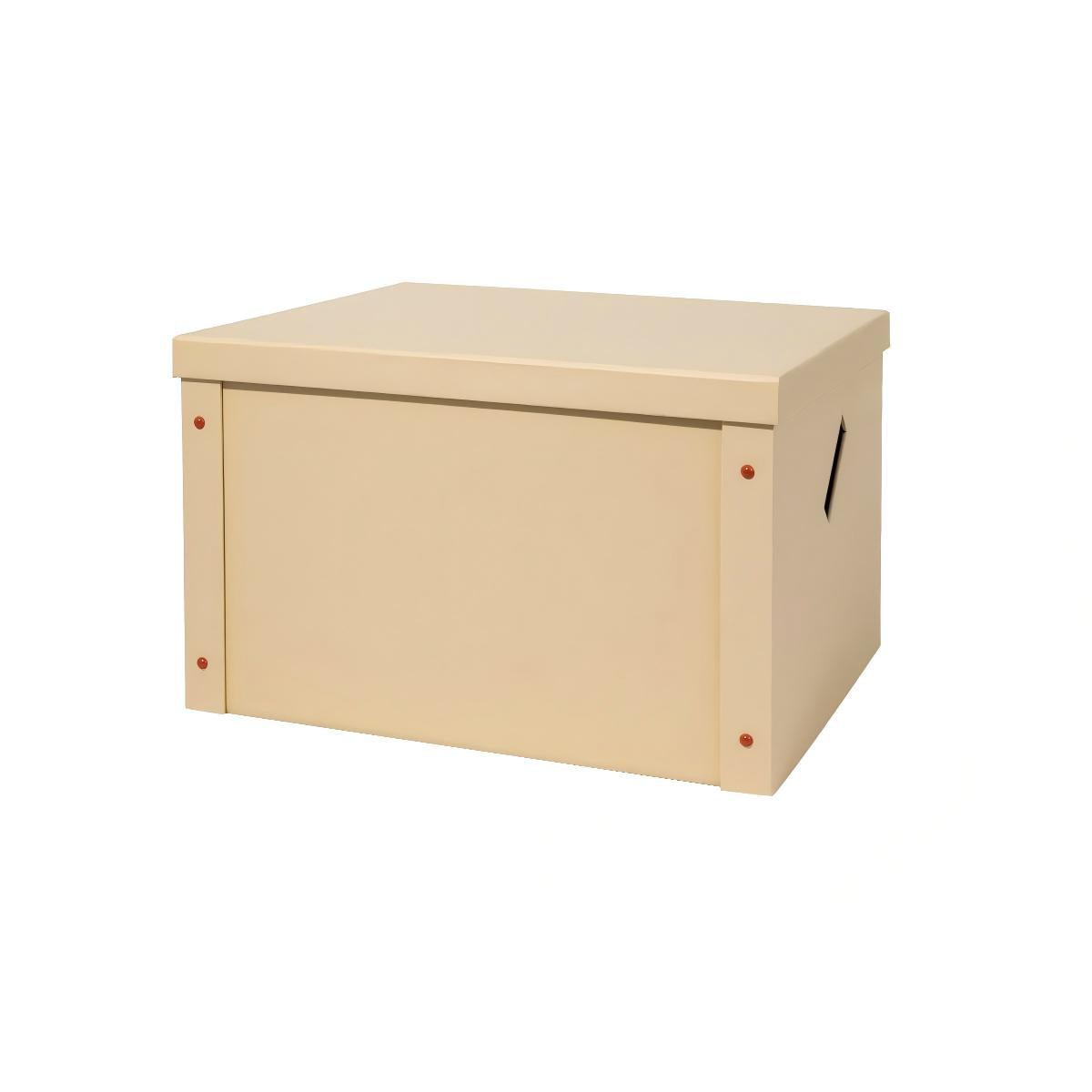 Eco-Friendly Storage Box-Extra Large