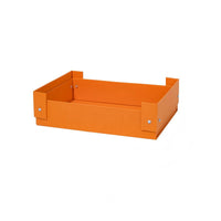 Kumquat Orange