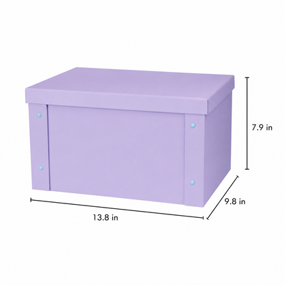 Eco-friendly Paper Storage Box [Set of 2]