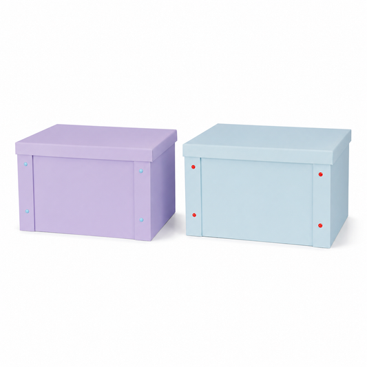Eco-friendly Paper Storage Box [Set of 2]